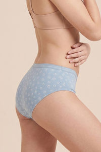 Zivame Regular Rise Full Coverage Hipster Panty (Pack of 3) - Multicolor — thumbnail 11